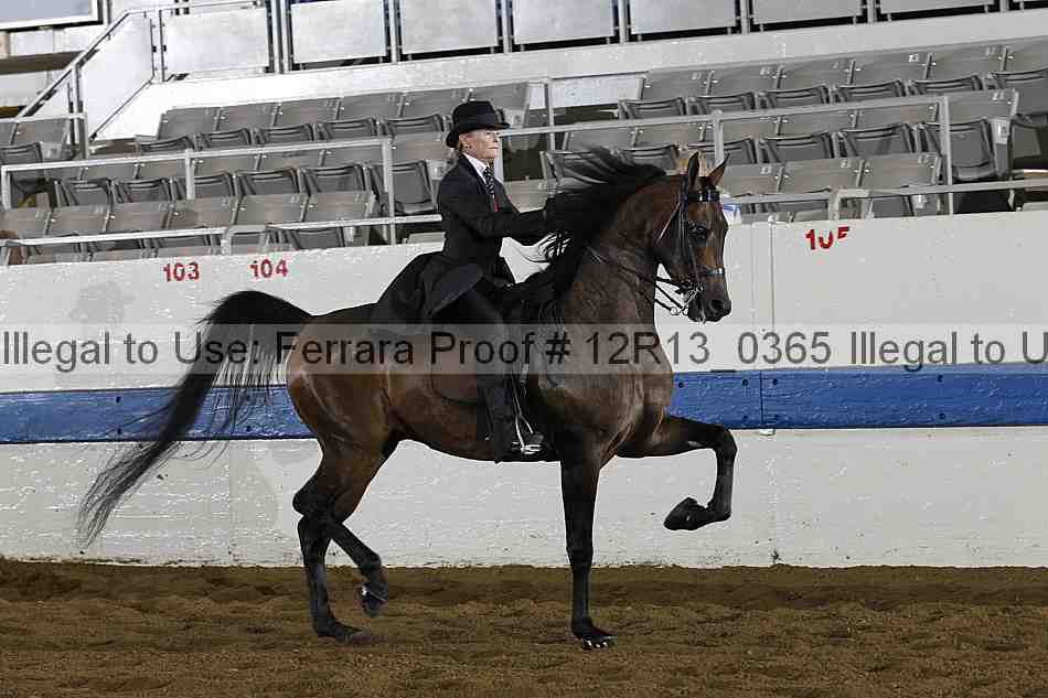 Proof 12r13_0365