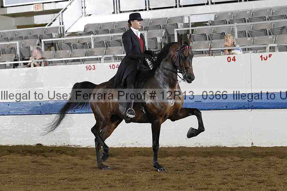 Proof 12r13_0366
