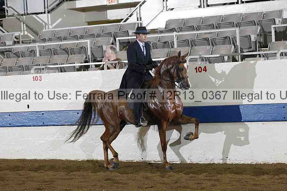 Proof 12r13_0367