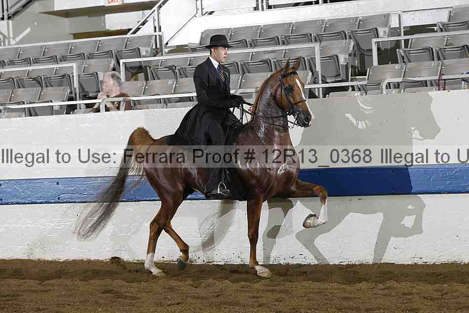 Proof 12r13_0368