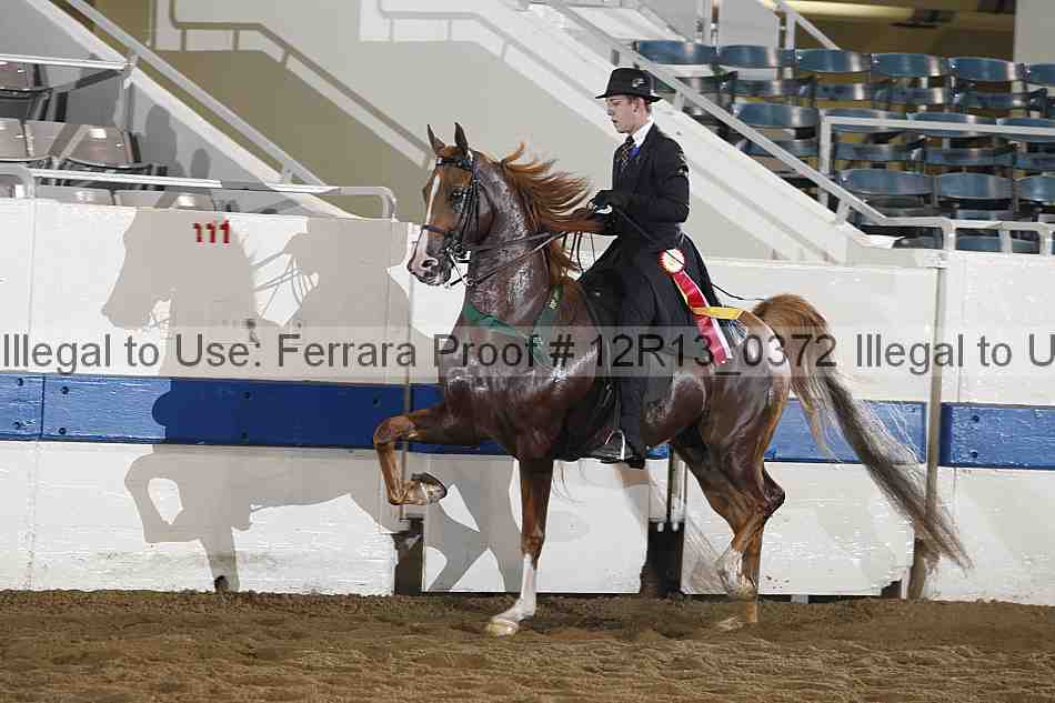 Proof 12r13_0372