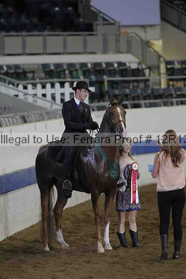 Proof 12r13_0373