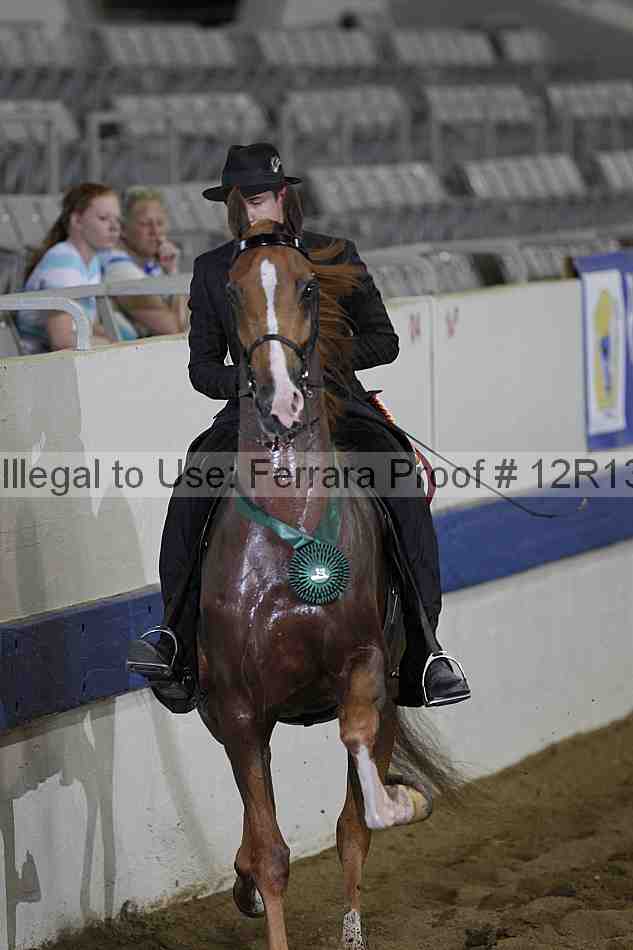 Proof 12r13_0374