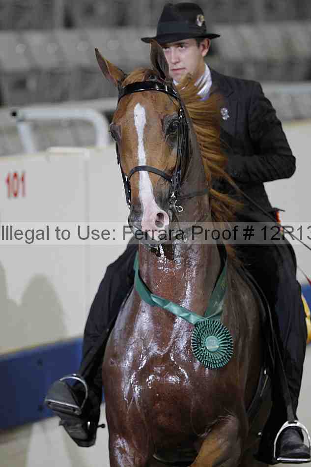 Proof 12r13_0375
