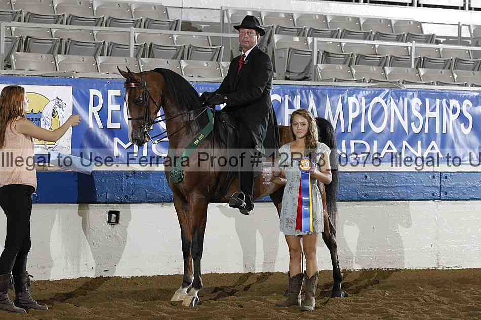 Proof 12r13_0376
