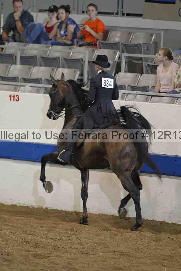 Proof 12r13_0378