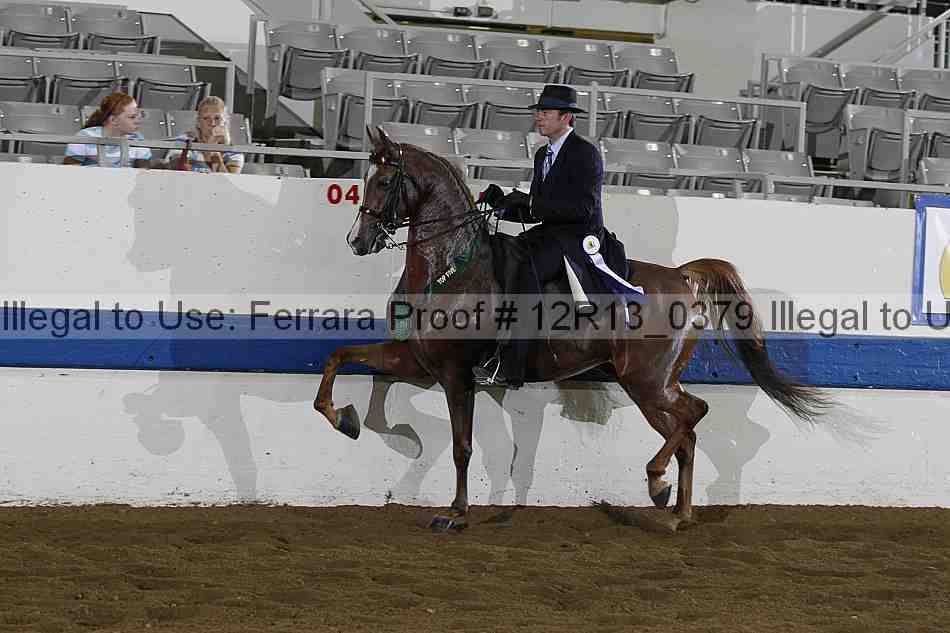 Proof 12r13_0379