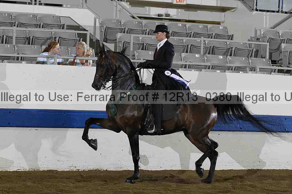 Proof 12r13_0380