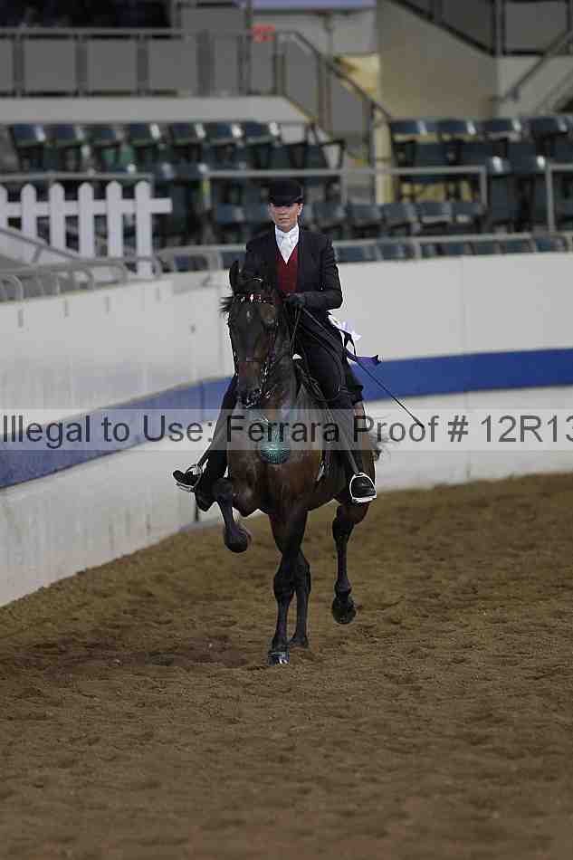 Proof 12r13_0384