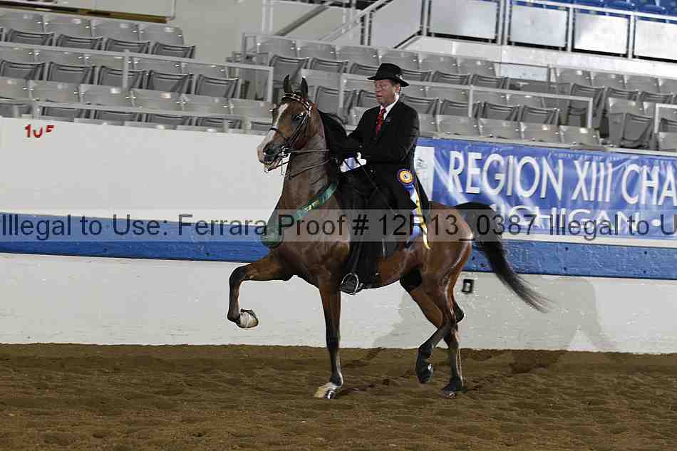 Proof 12r13_0387
