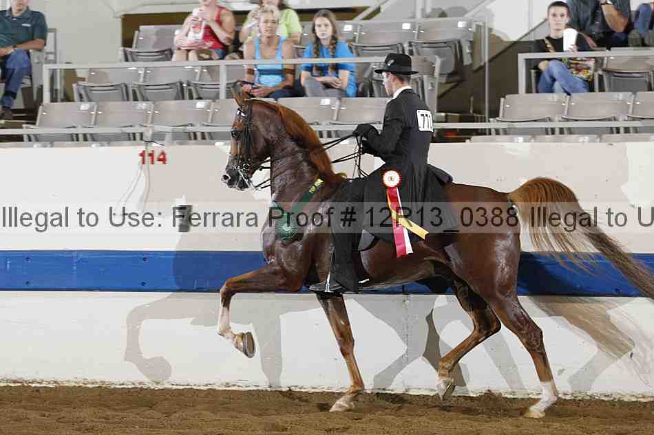 Proof 12r13_0388