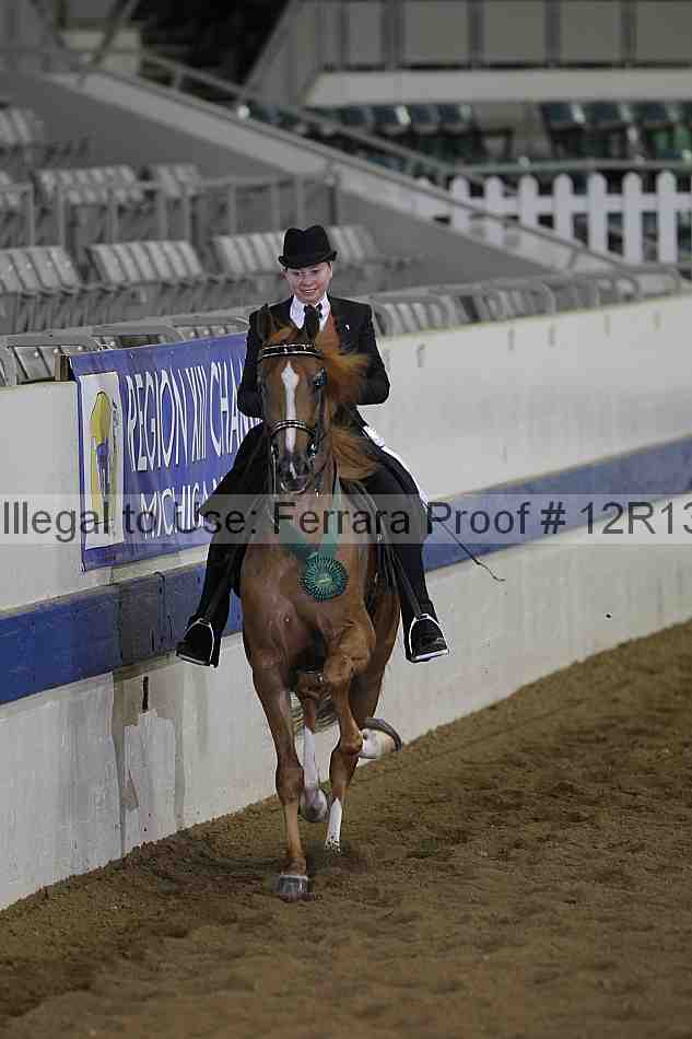 Proof 12r13_0389