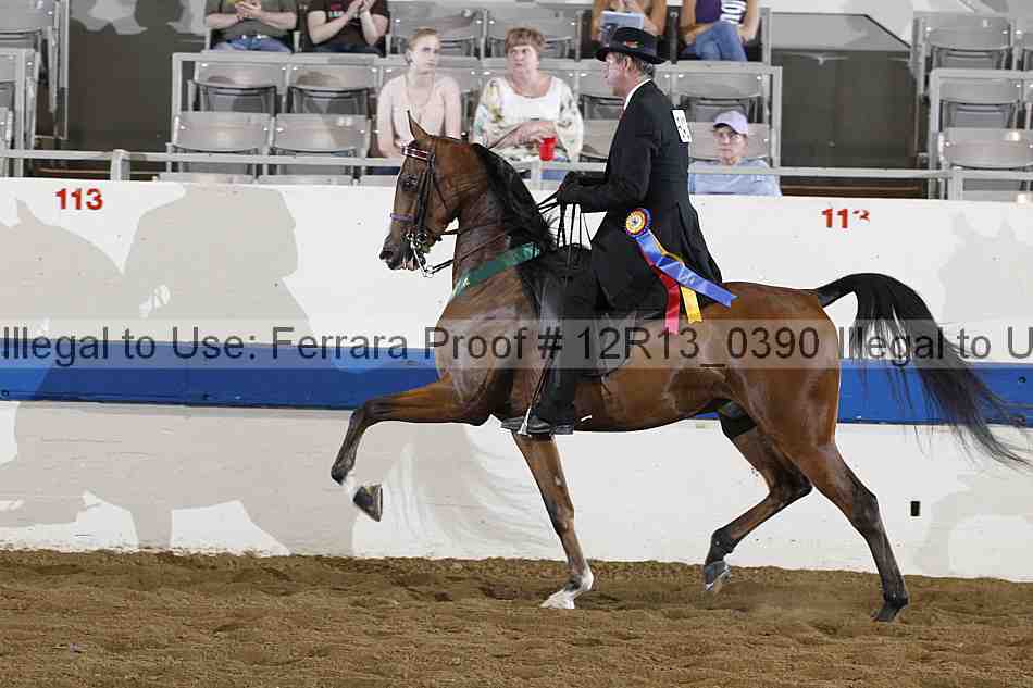 Proof 12r13_0390