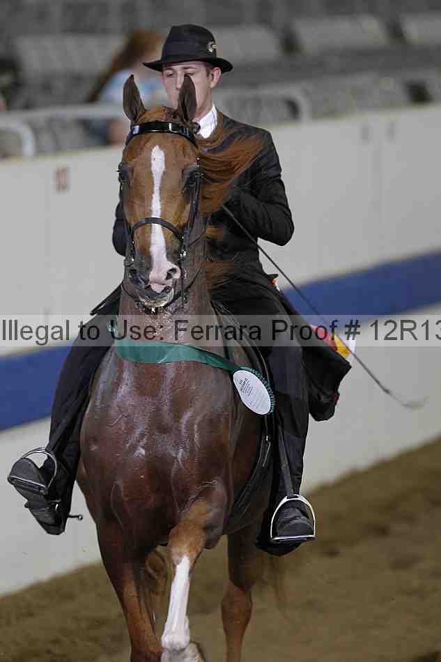 Proof 12r13_0391