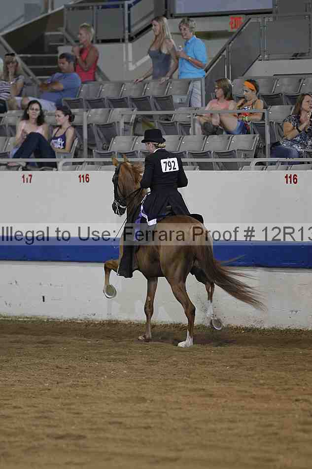 Proof 12r13_0392