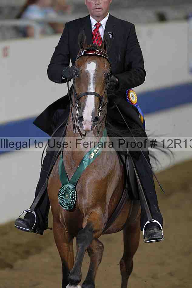 Proof 12r13_0394