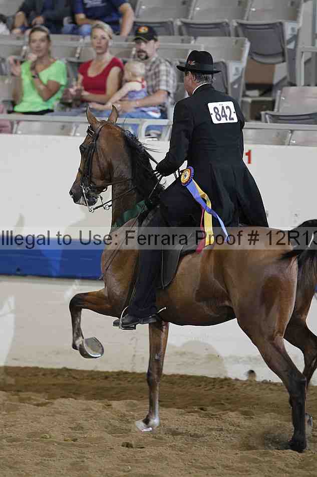 Proof 12r13_0395