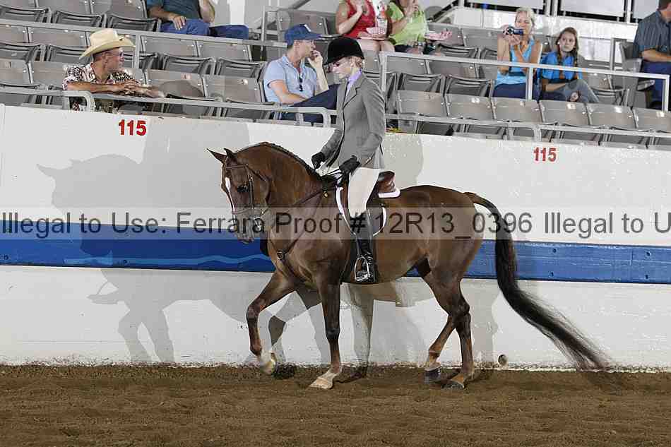 Proof 12r13_0396