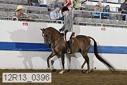 12r13_0396 proof