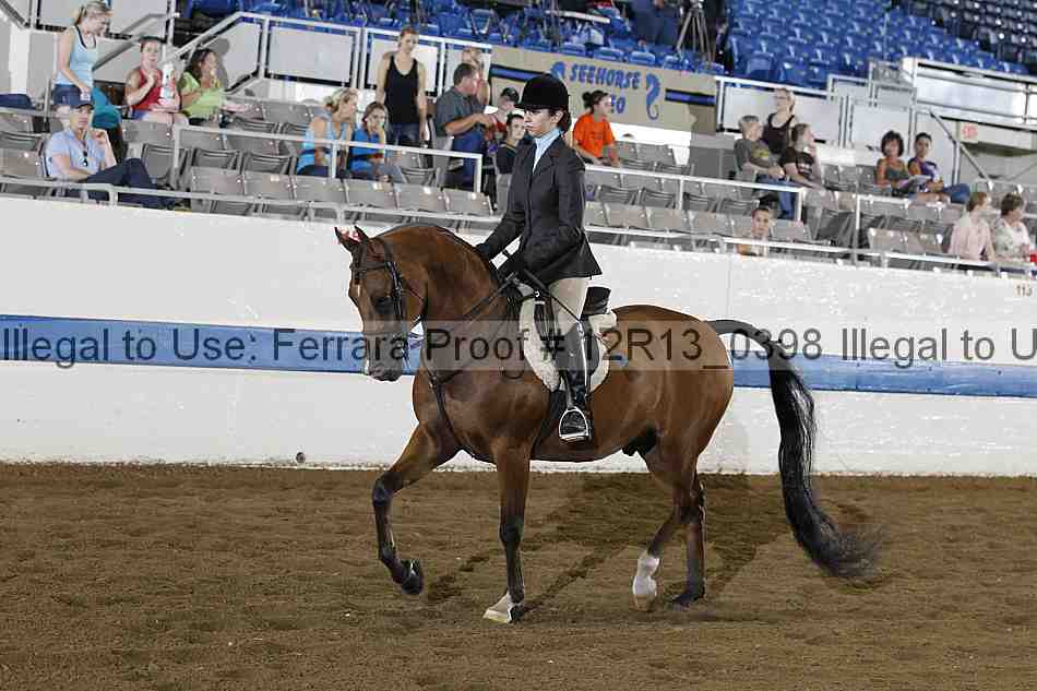 Proof 12r13_0398