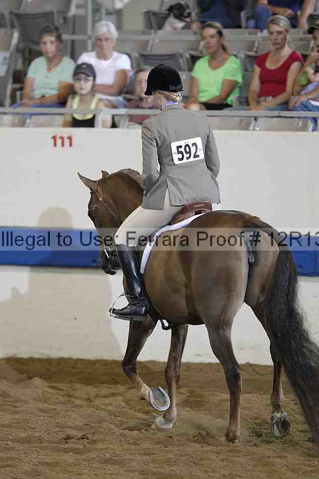 Proof 12r13_0399