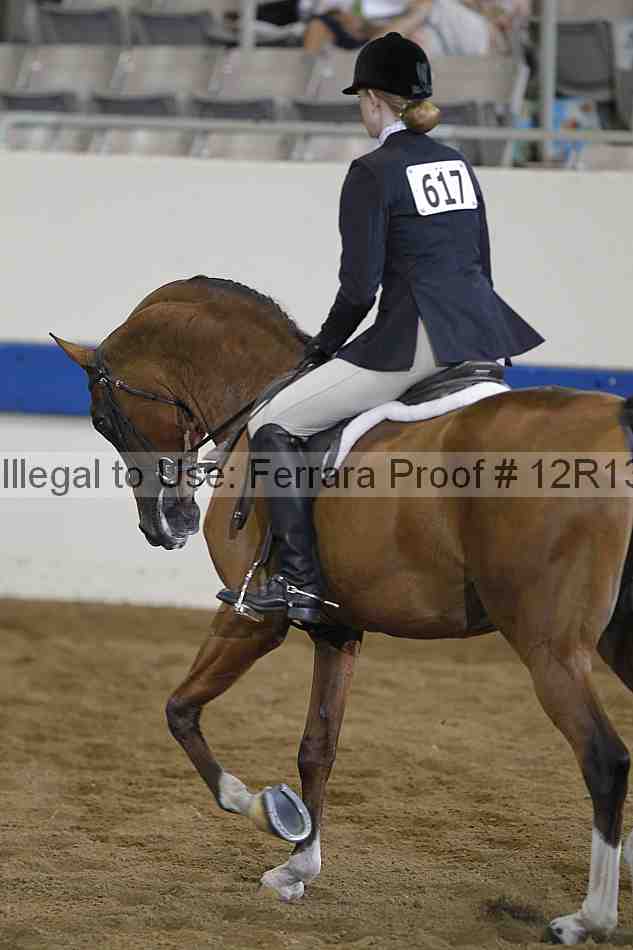 Proof 12r13_0405