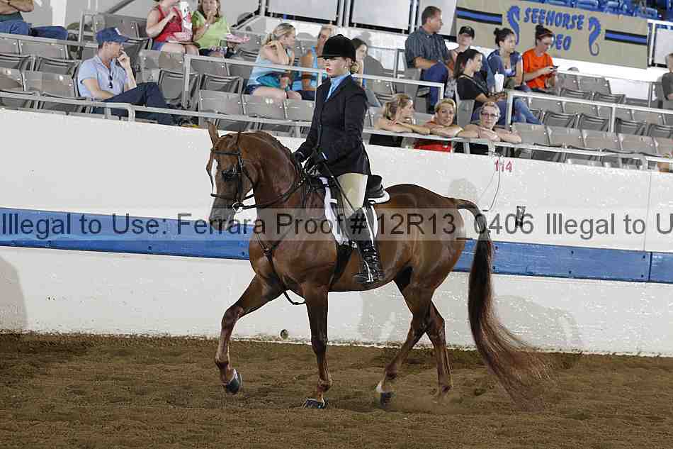Proof 12r13_0406