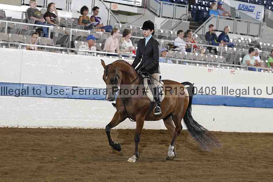 Proof 12r13_0408