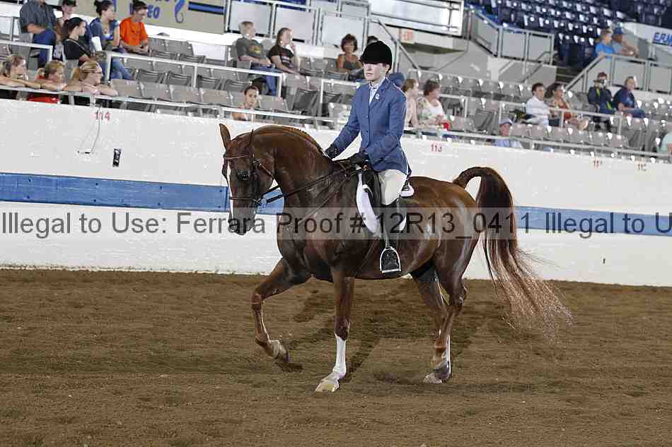 Proof 12r13_0411