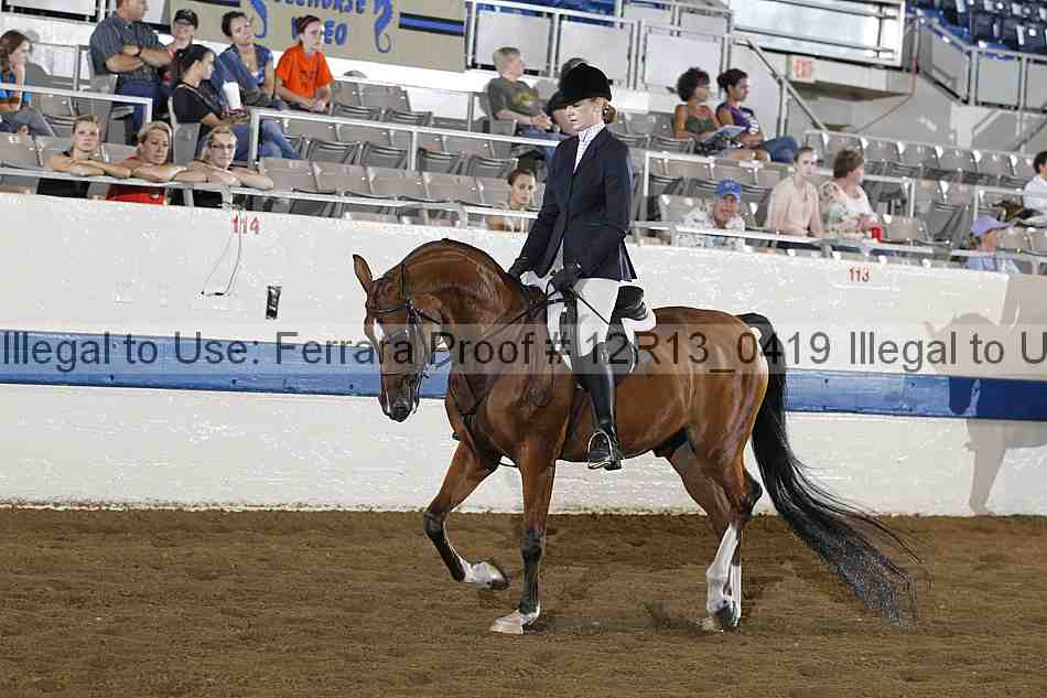 Proof 12r13_0419
