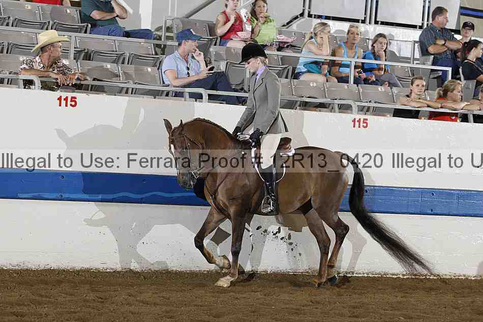 Proof 12r13_0420