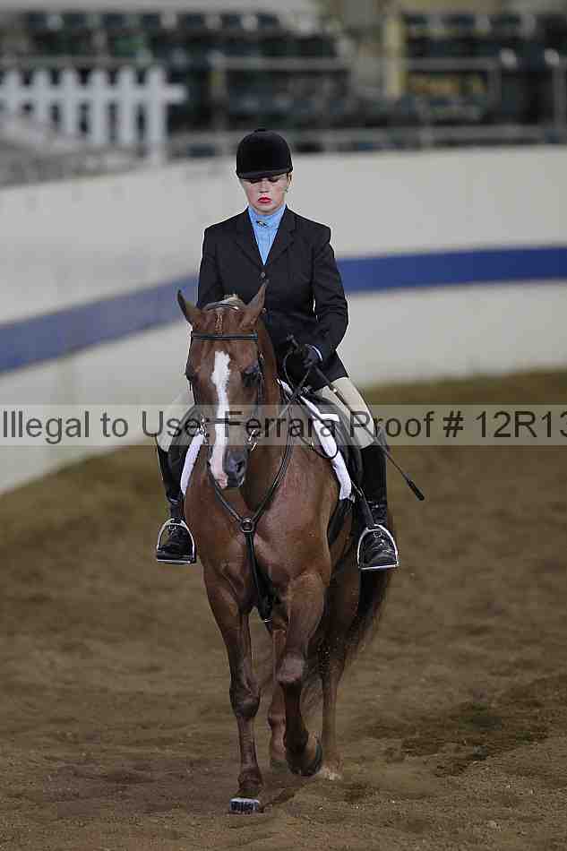 Proof 12r13_0428