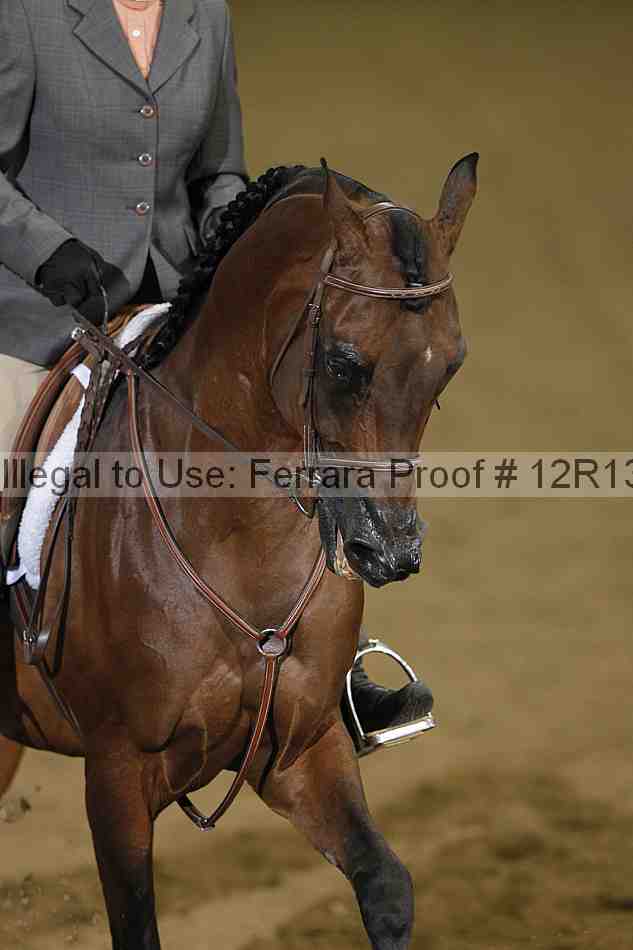 Proof 12r13_0432
