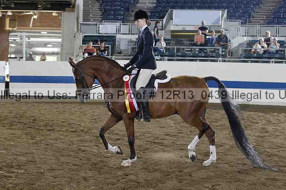 Proof 12r13_0439
