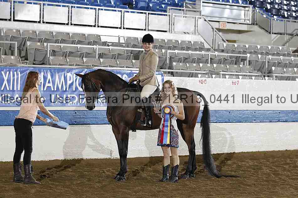Proof 12r13_0441