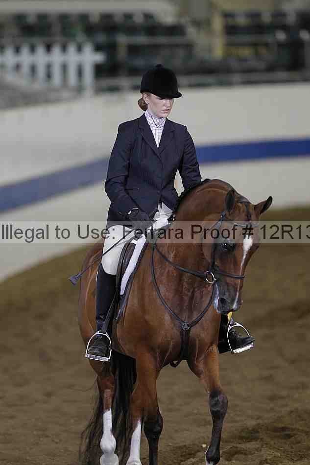 Proof 12r13_0442