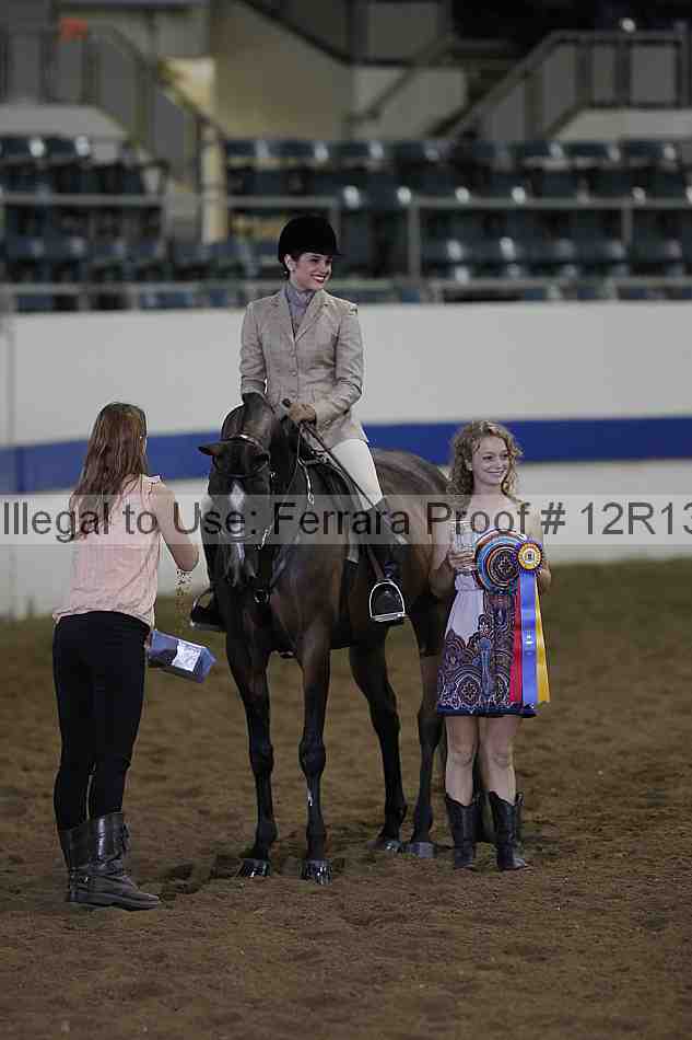 Proof 12r13_0445