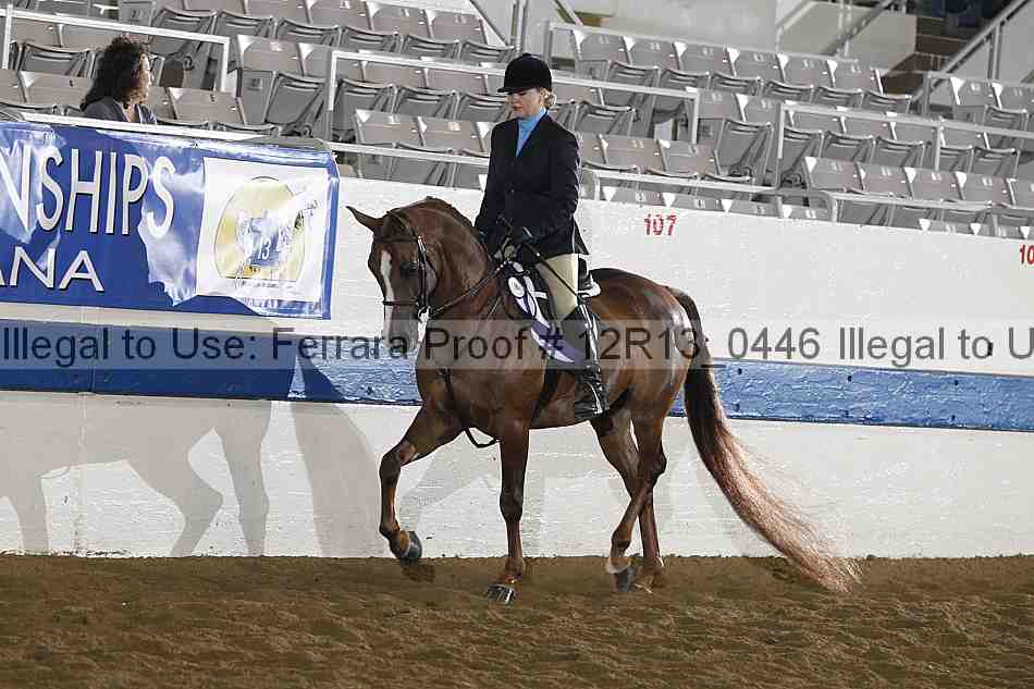 Proof 12r13_0446