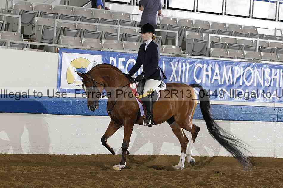 Proof 12r13_0449