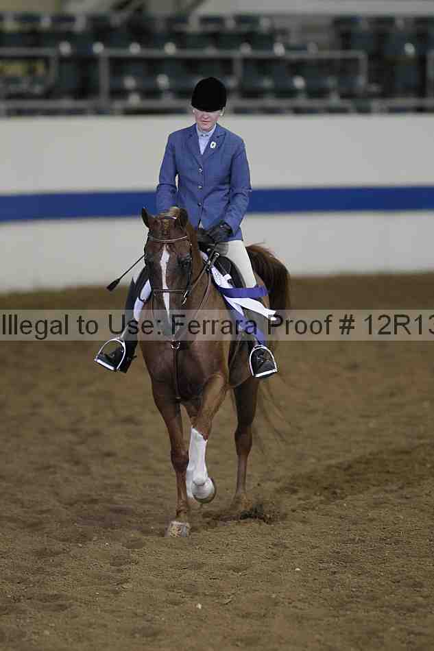 Proof 12r13_0450