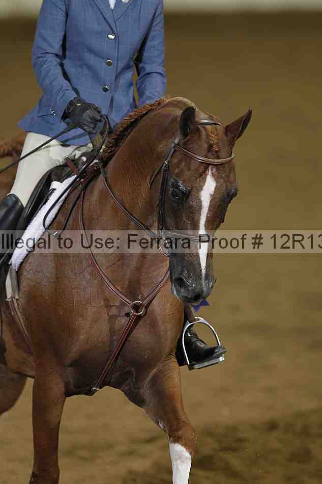 Proof 12r13_0452