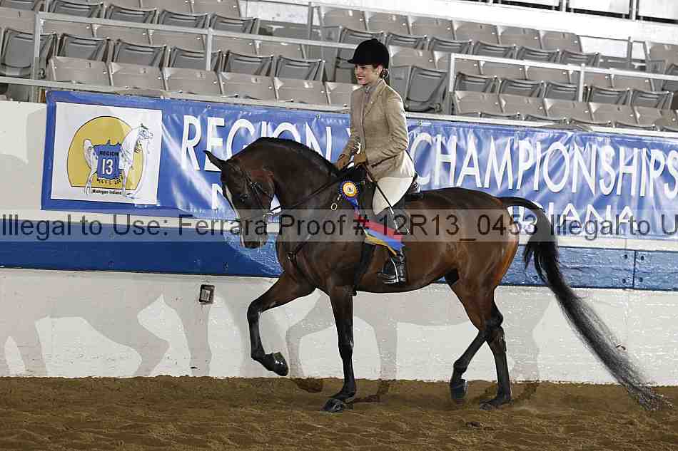 Proof 12r13_0453