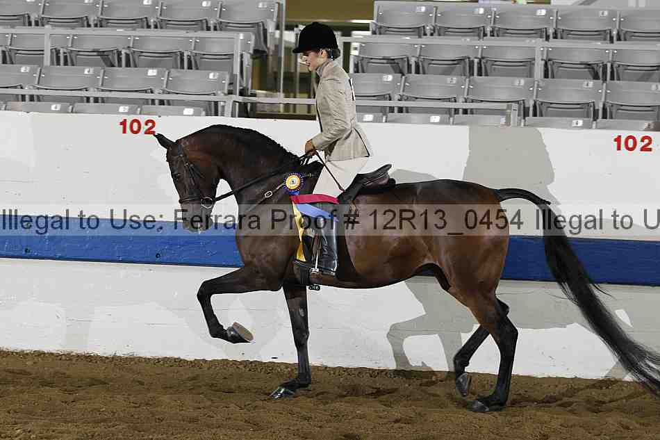 Proof 12r13_0454