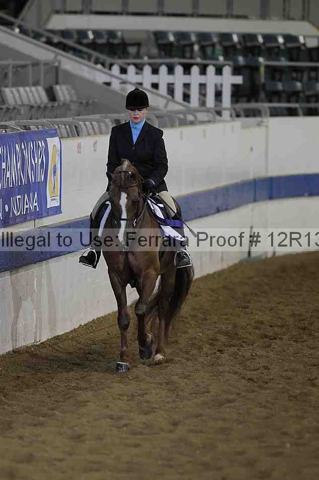 Proof 12r13_0455