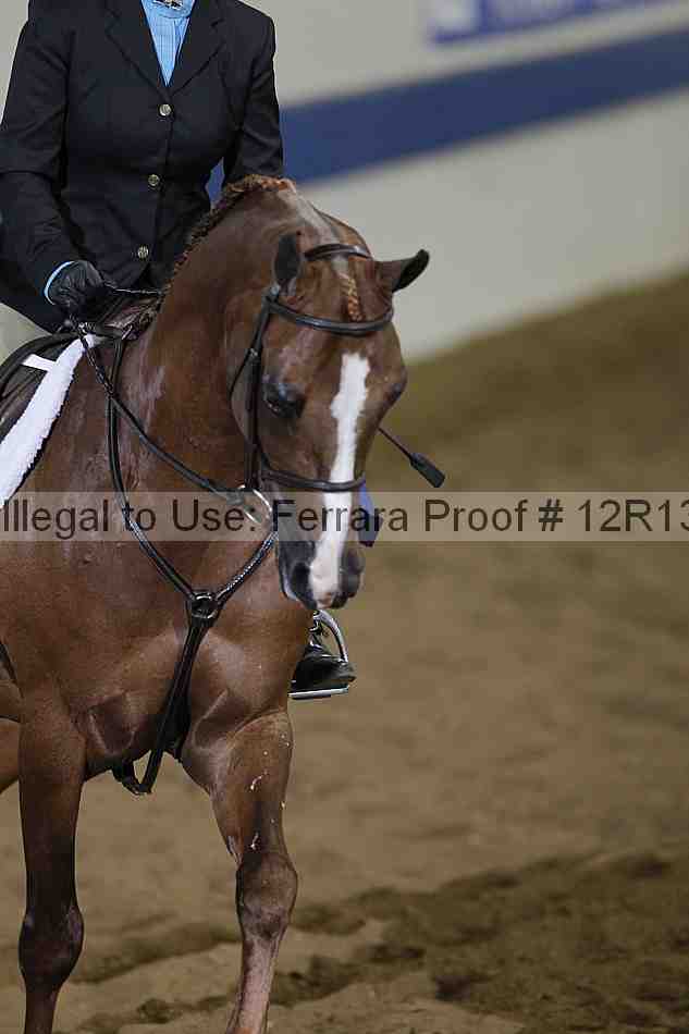 Proof 12r13_0457