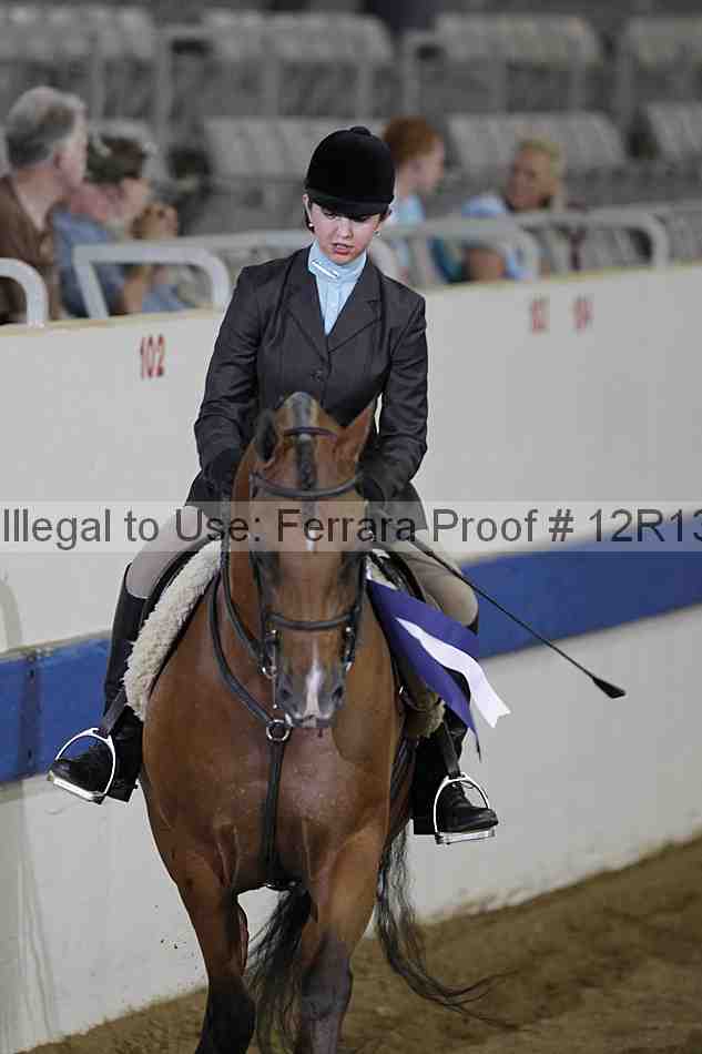 Proof 12r13_0459