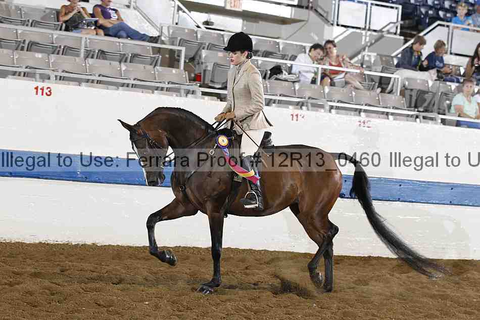 Proof 12r13_0460