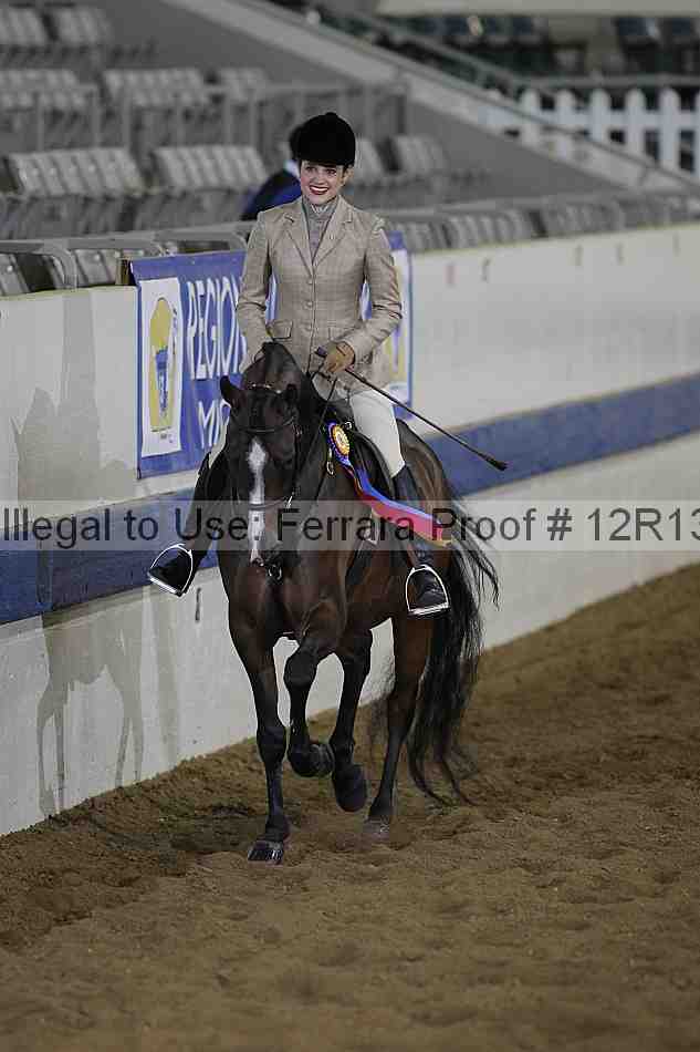 Proof 12r13_0463