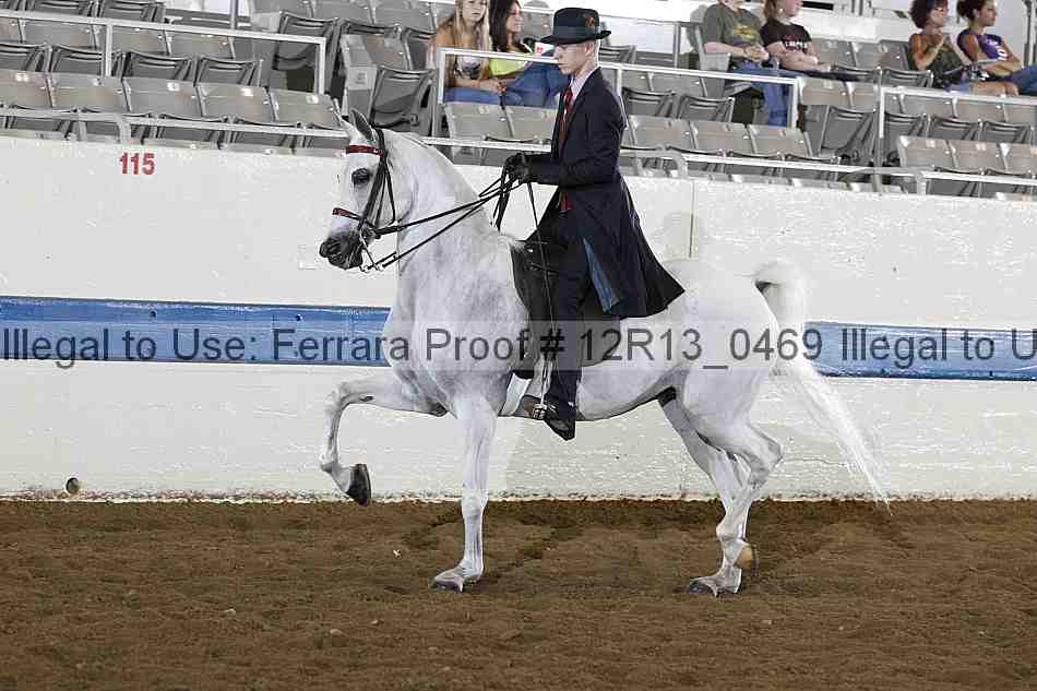 Proof 12r13_0469