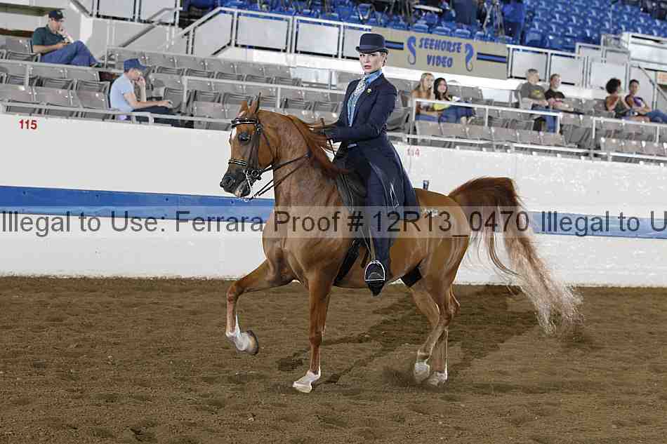 Proof 12r13_0470